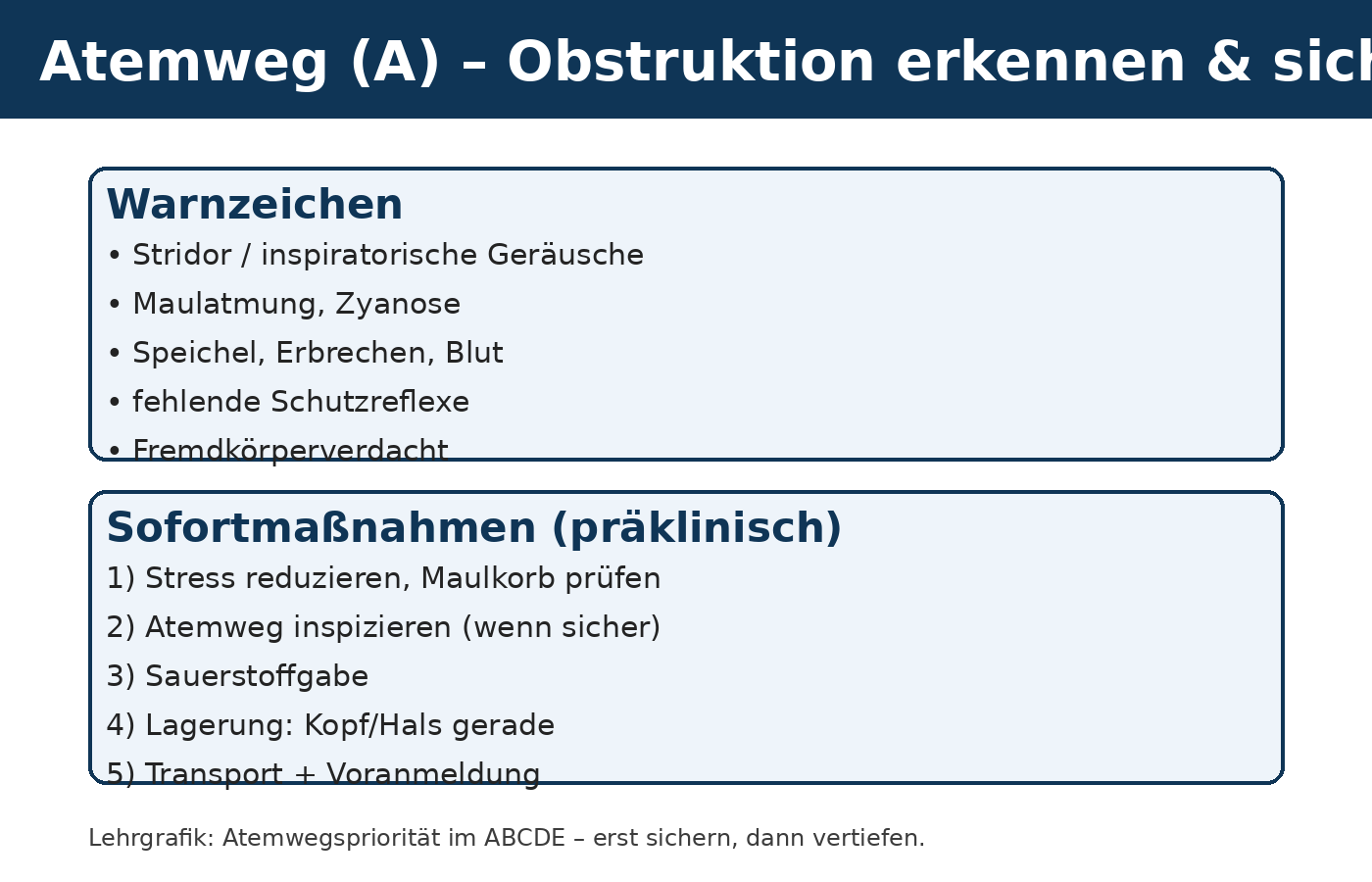 Atemweg &ndash; Obstruktion erkennen